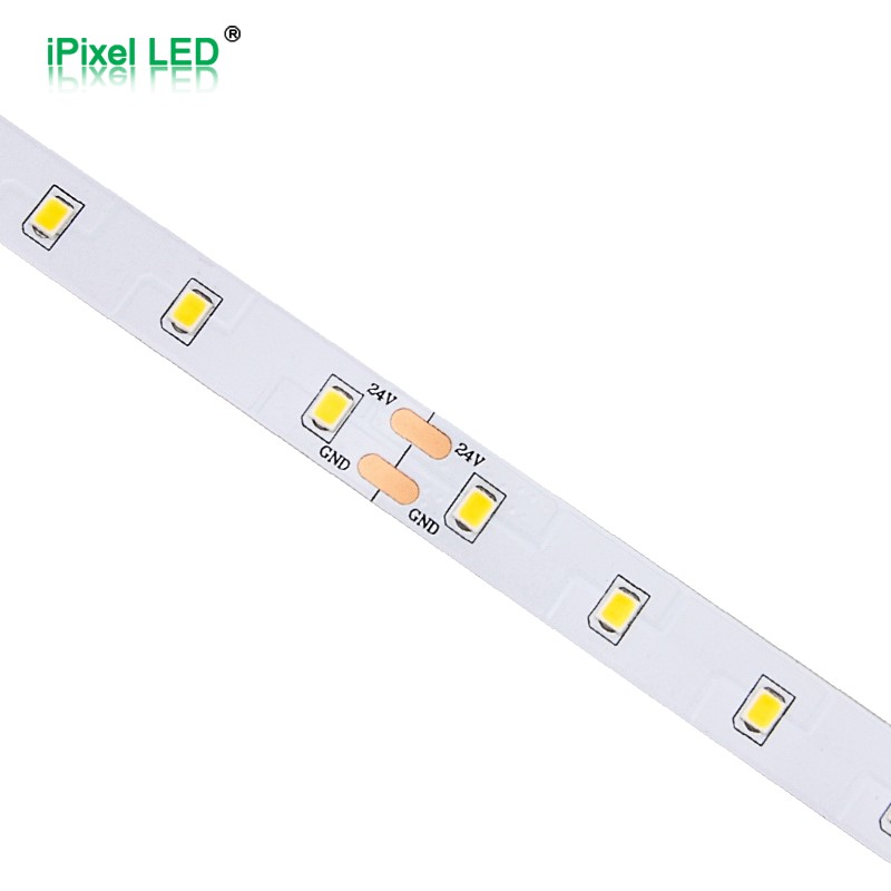 High Efficiency 2835 single color  LED strip 64LEDs/M DC24V